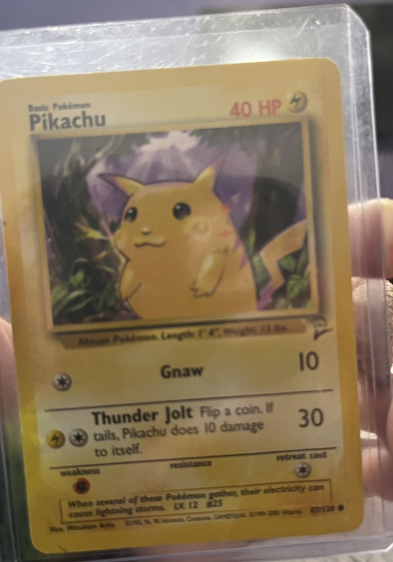 Pilachu Hp 40