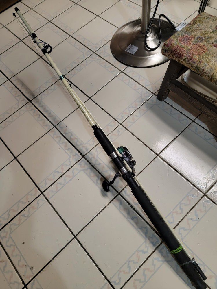 R2 Performance Series Fishing Rod and Daiwa X2500 Reel Combo for Sale in  Brooklyn, NY - OfferUp