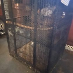 Large Amazon Cage plus  More