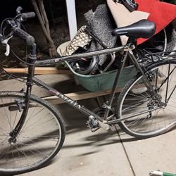 Vintage 1980’s Bicycle Activa-es Chrominance UNIVEGA 