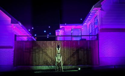 Halloween Skelly Dog - Sitting Decor