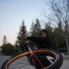 bl._ANT35