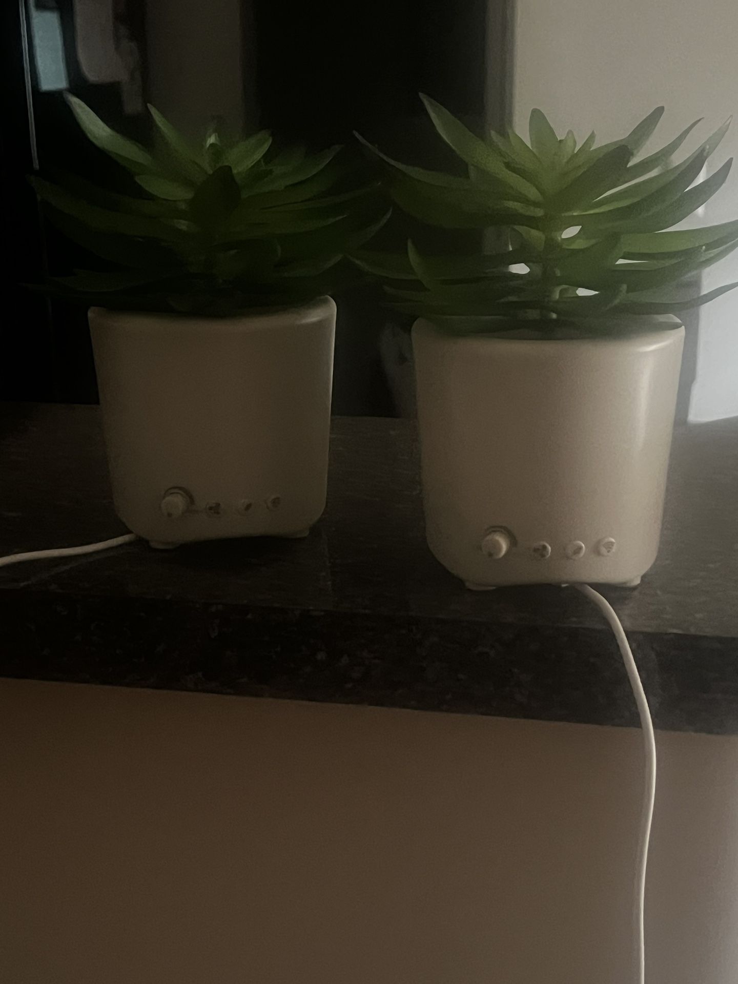 Sleep Plant