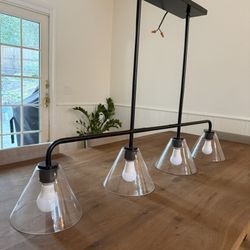 West Elm Pendant Light