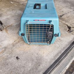 Pet porter for small animal