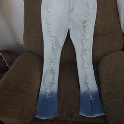 JEAN, L, COACH, MK, JUICY PURSES 