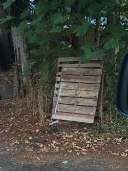 Free pallets