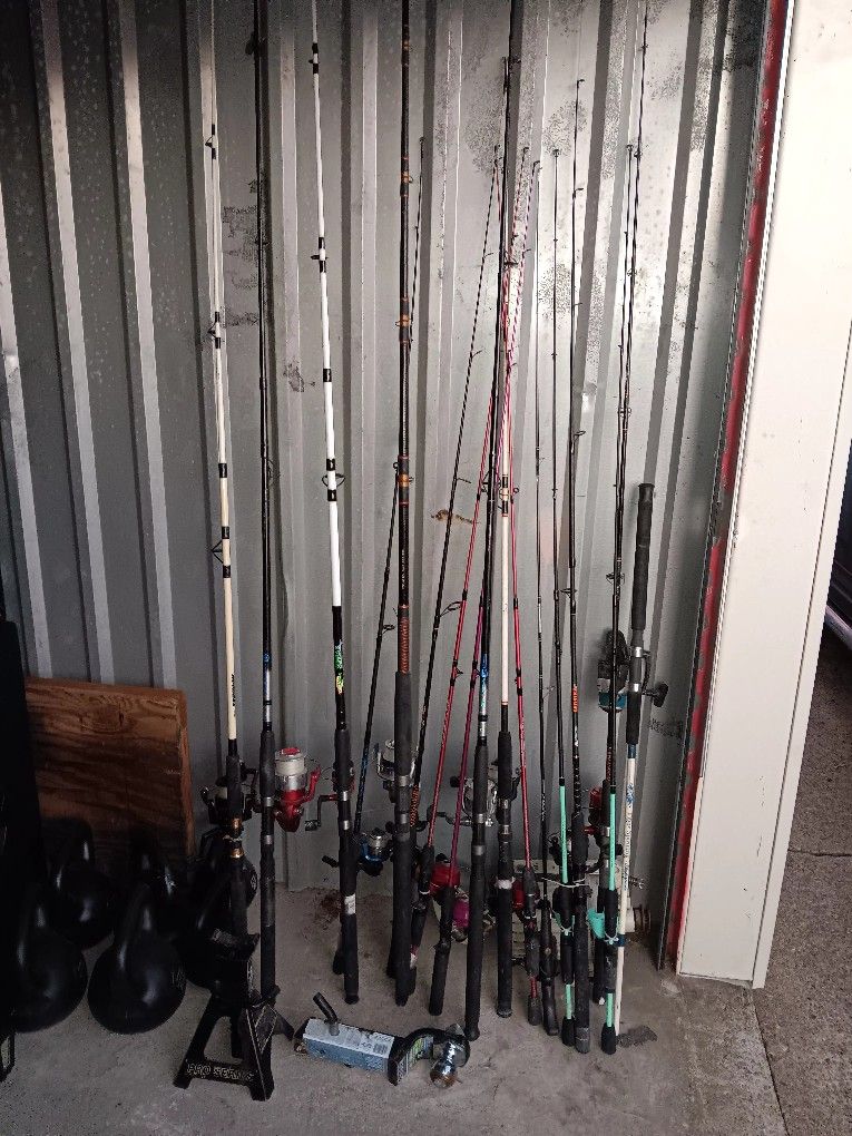 Shakespeare Poles And Nets