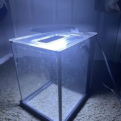Fluval 2.6 Galon AIO Aquarium 
