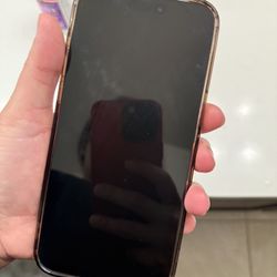 iPhone 15 Pro Max 1tb 