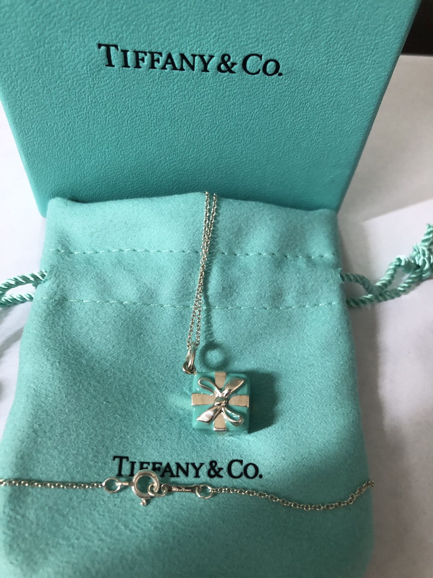 Tiffany & Co Silver Blue Enamel Signature Gift Box Necklace Pendant Gift Pouch