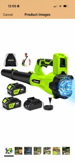Leaf blower