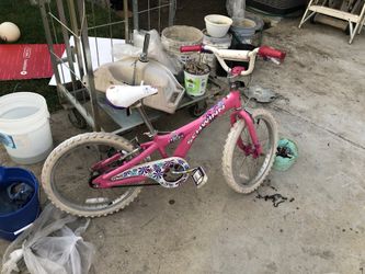 Schwinn Children’s Bicycle