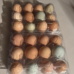 Farm fresh eggs