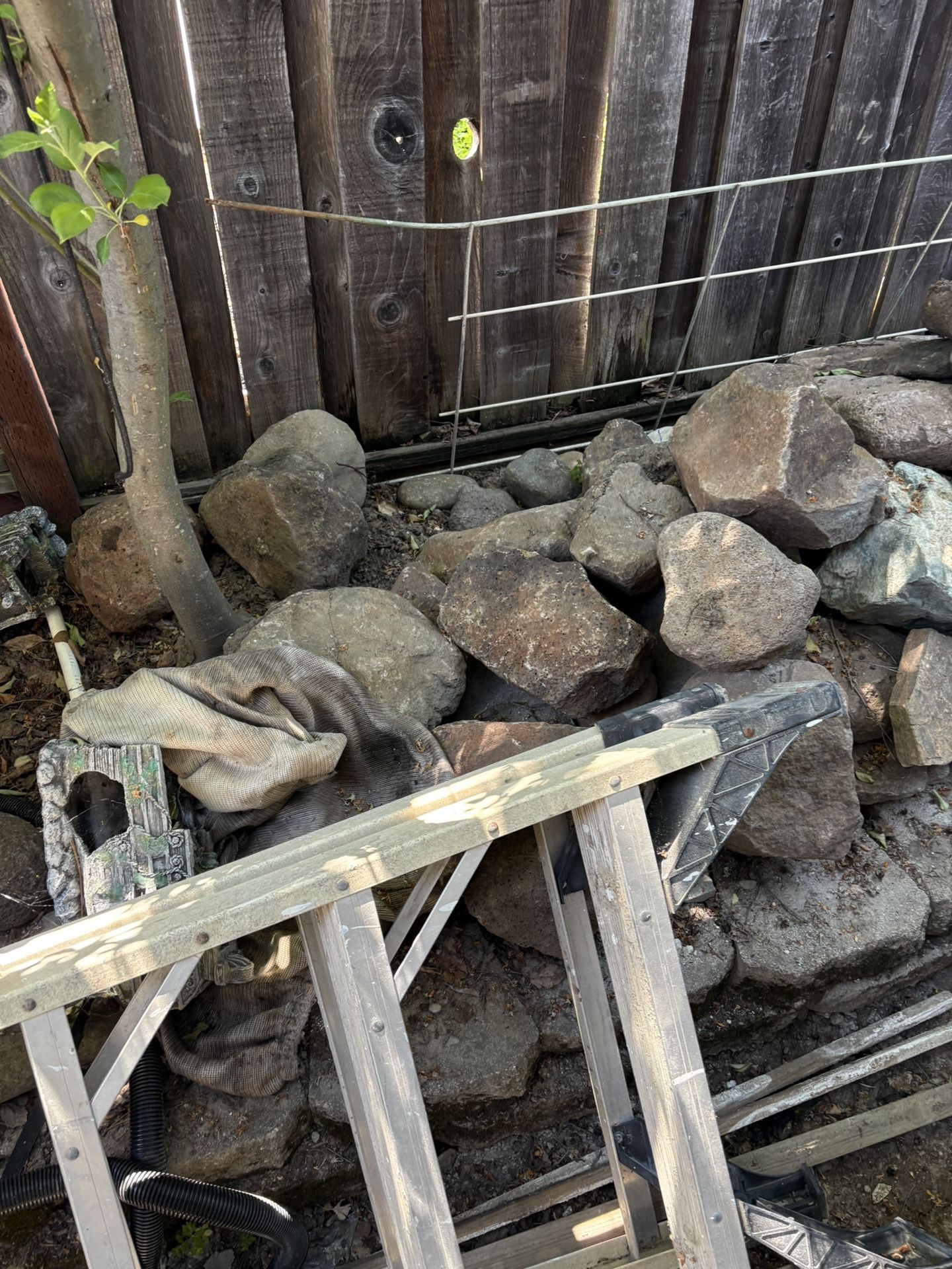 Moss Rock