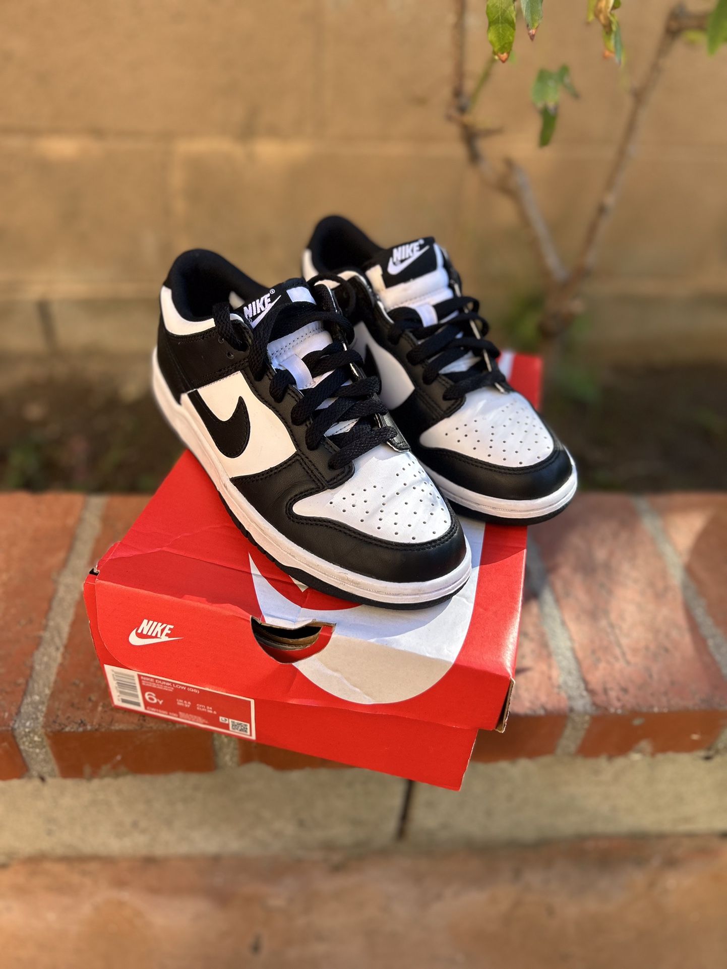 Nike Dunks Low
