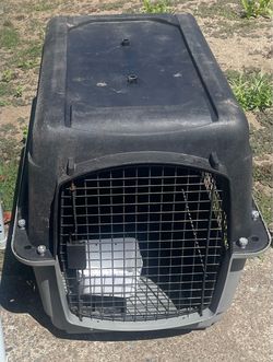 Large Dog Kennel