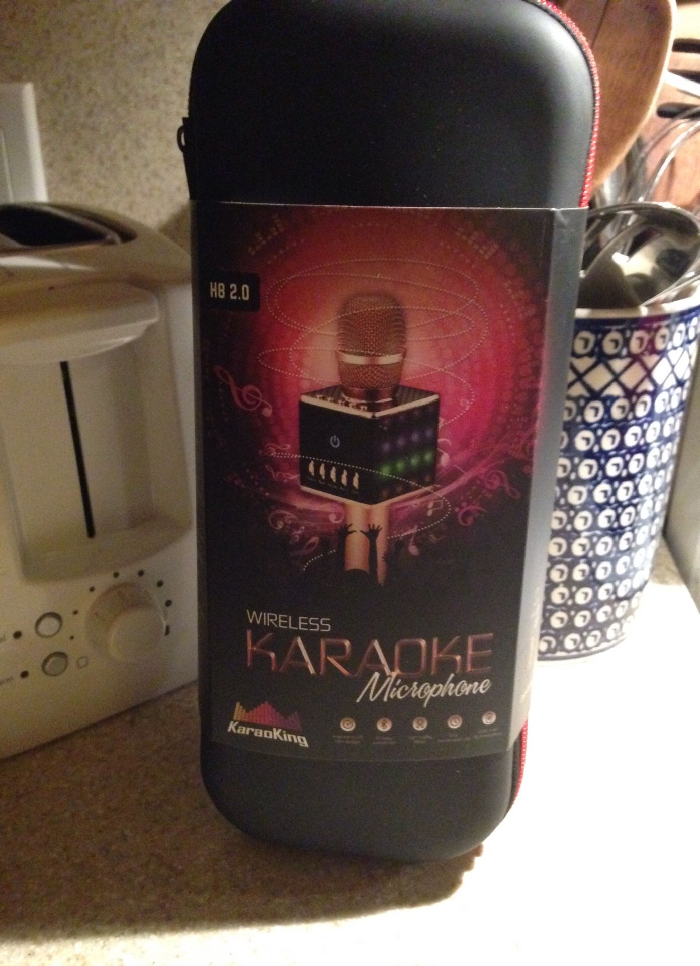 Karaoke Microphone