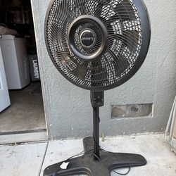 Fan