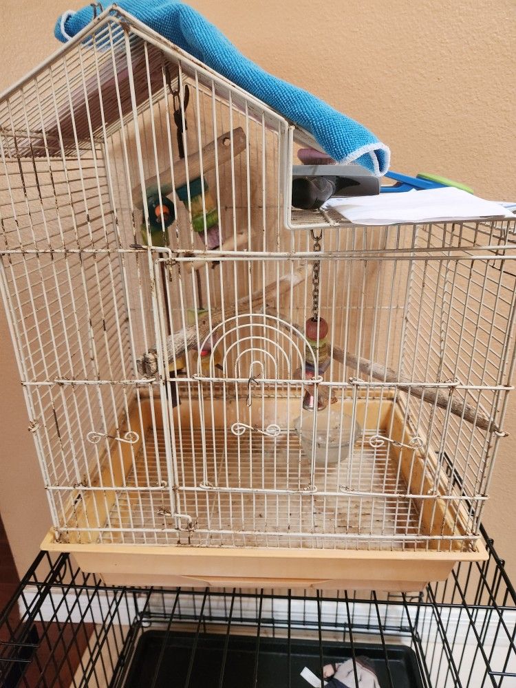 Bird Cage