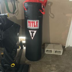 Brand New Punching Bag 