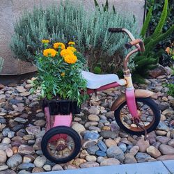 Super Cute Tricycle Yard Decor (SERIOUS BUYER ONLY)