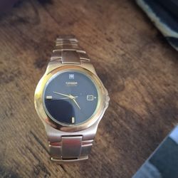 Vintage Citizens Quartz Watch