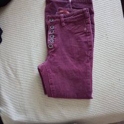 Anthropology Pilcro Skinny Jeans