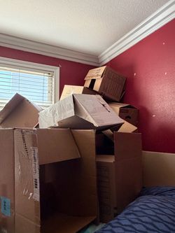 Cardboard boxes - free