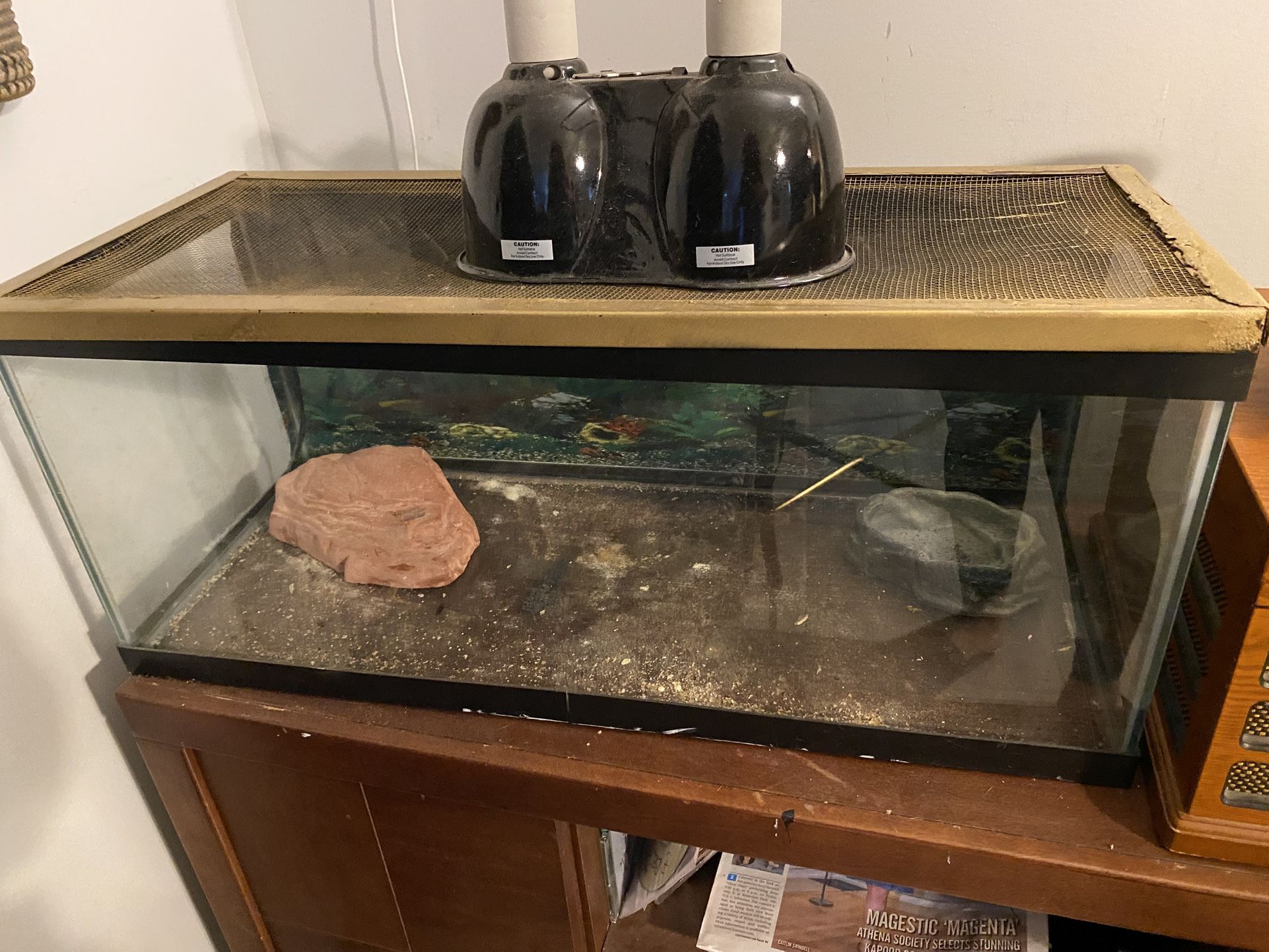 Reptile Tank Includes Accessories