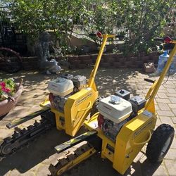 Trencher Groung Hog 