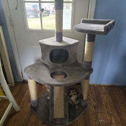 Cat Tower