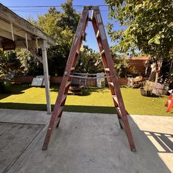 10 Foot Ladder 