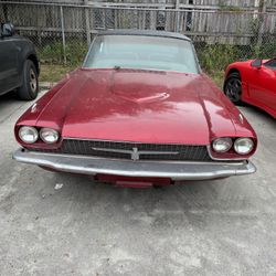 Star quality Upholstery 