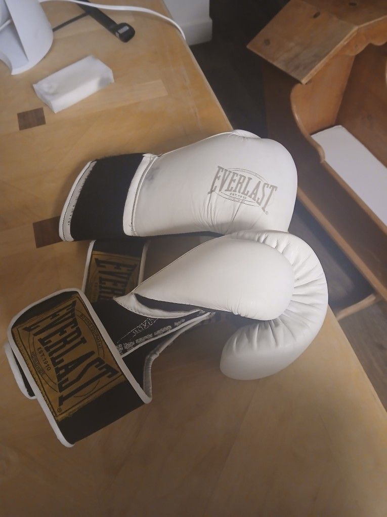 Everlast Boxing Gloves