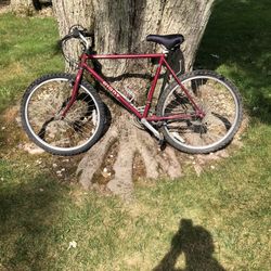 26” Giant Mountain Bike (xl Frame)
