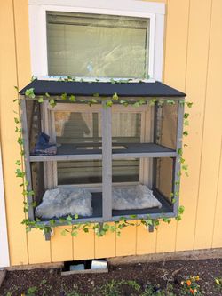 Catio
