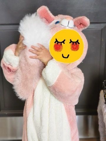 Adorable Pink LinaBell Costume (Toddler Size) 🩷