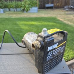 Wayne 1/2 HP Portable Electric Water Transfer Porta Utility Pump