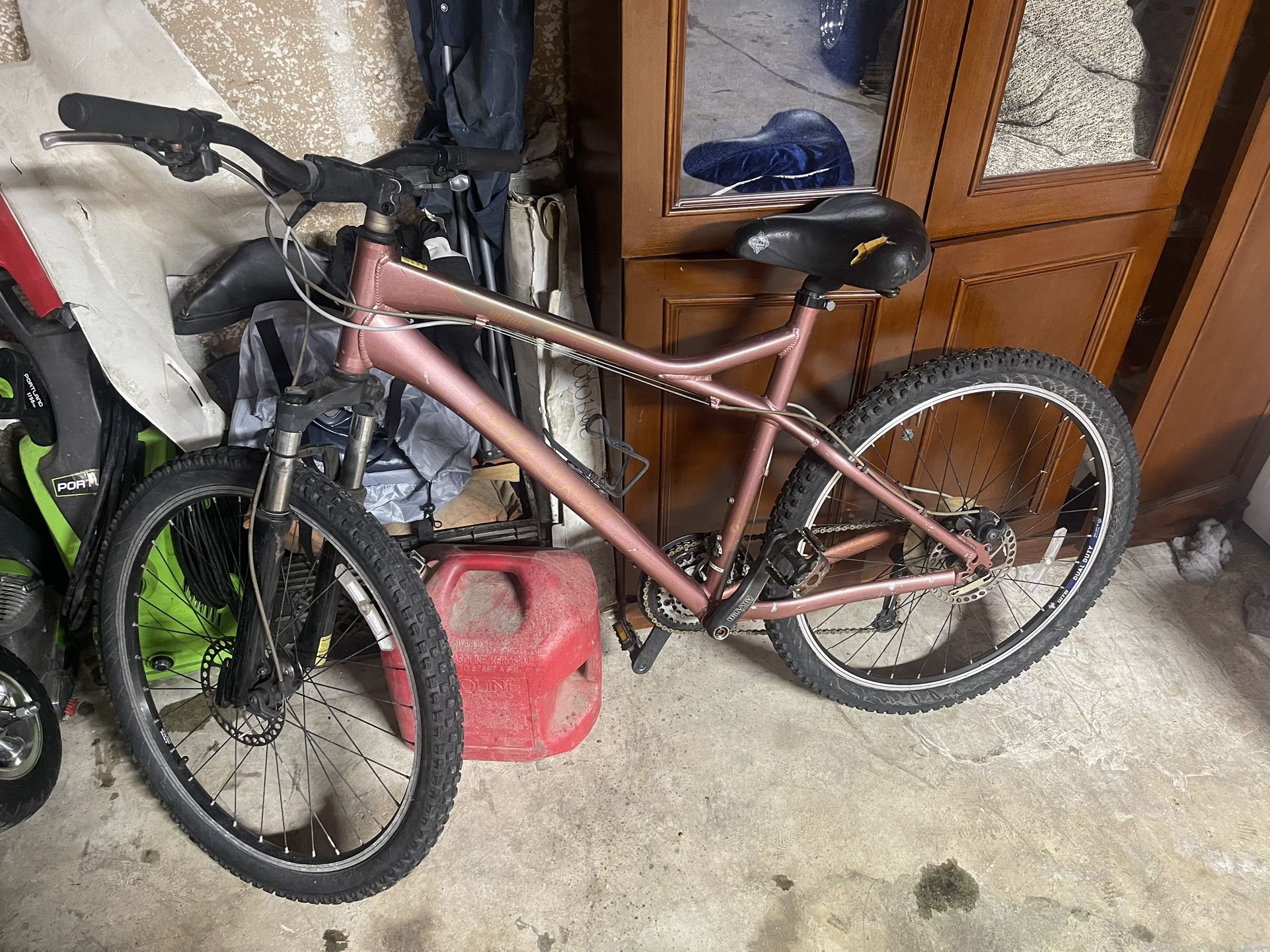 Mountain Bike