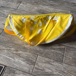 Disney Insulated Bag 