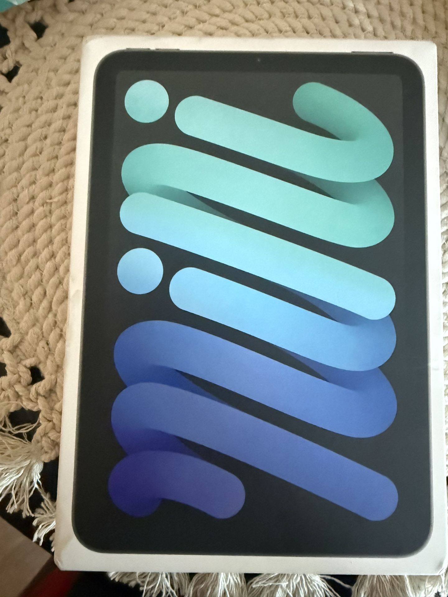 iPad Mini