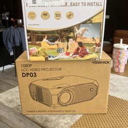 Projector And 100” Screen