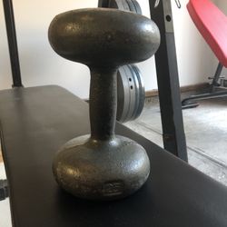 25 Pound Dumbbell 