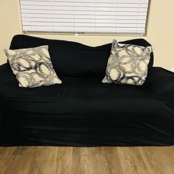Loveseat Couch