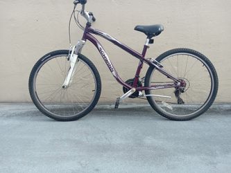 SCHWINN