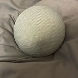 Google Home BEST OFFER 30