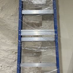 Louisville Ladder 6 ' Fiberglass Step, 10' Reach, 225-lb, Load Capacity