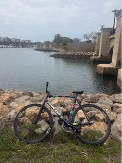 tsunami fixie