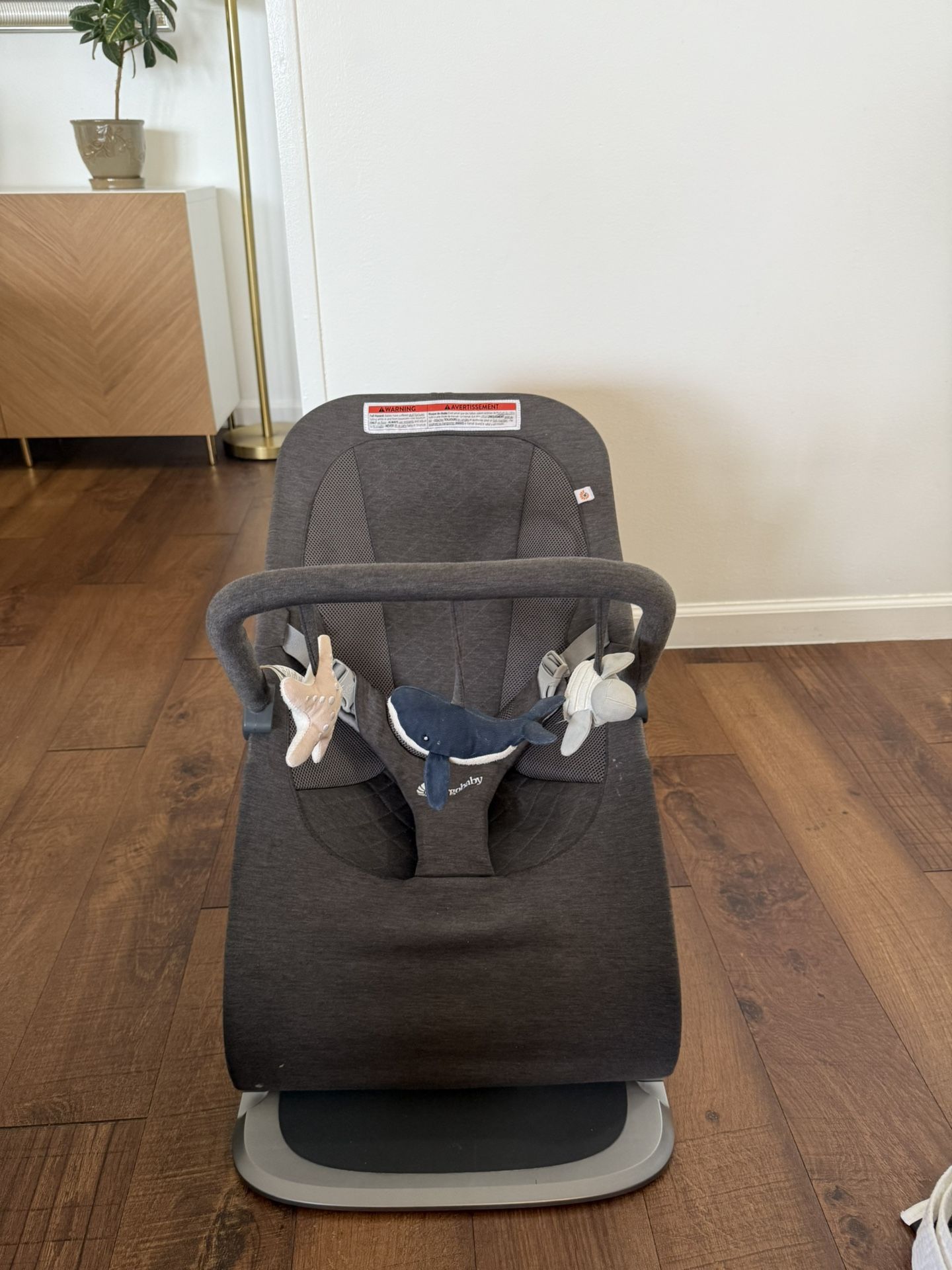 2024 Ergobaby bouncer